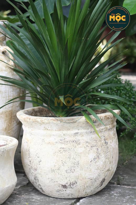 Bộ sưu tập Gốm Atlantic Màu Trái Đất