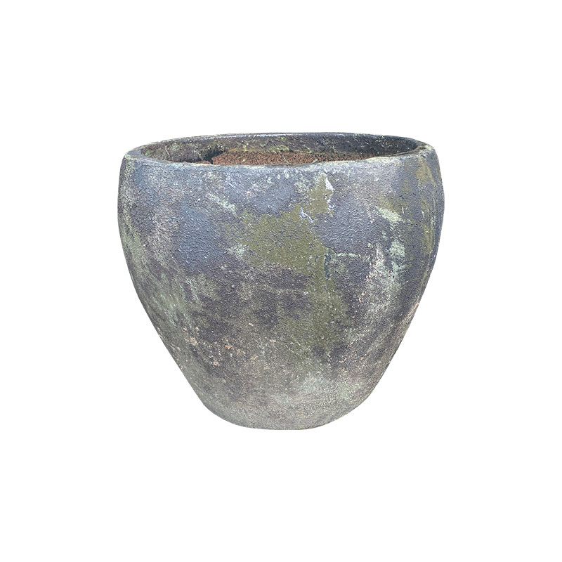 Wax Xanh Rêu