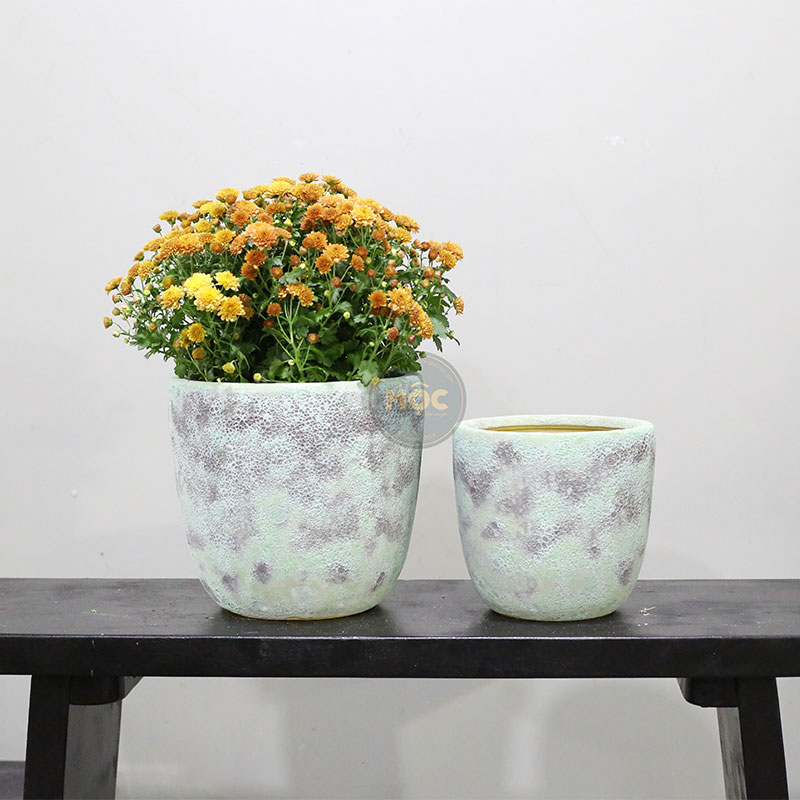 4194 Atlantic Trứng 20x20x20